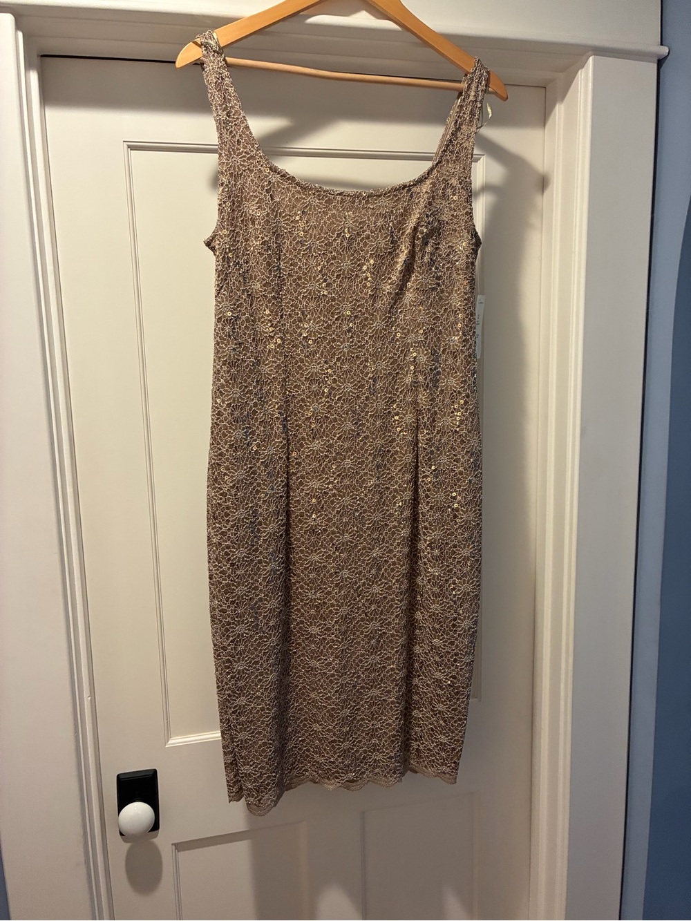 Alex Evenings Champagne Lace Midi Dress with Subtle Sequin Detail
